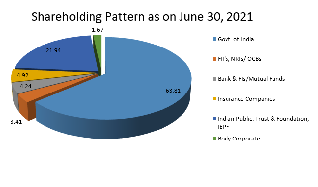 shareholding Eng 2020
