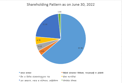 shareholding Eng 2020